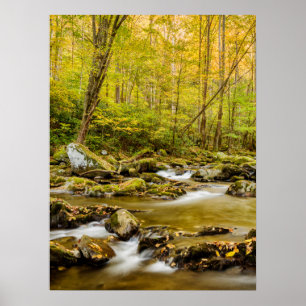 Poster Big Creek Caroline du Nord