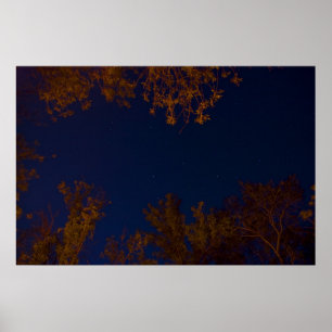 Poster Big Dipper