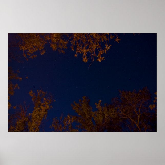 Poster Big Dipper (Devant)