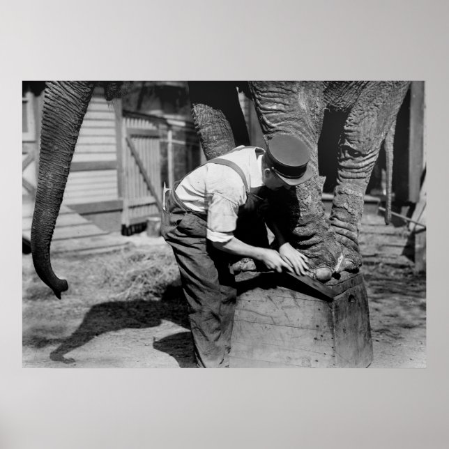 Poster Big Pedicure, années 1910 (Devant)