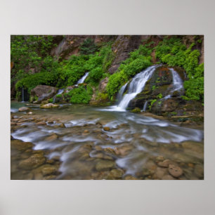 Poster Big Springs Virgin River Parc national de Zion