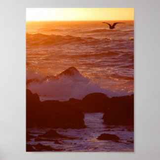 Poster Big Sur