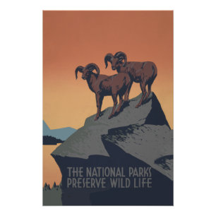 Poster Bighorn Sheep American West Wildlife