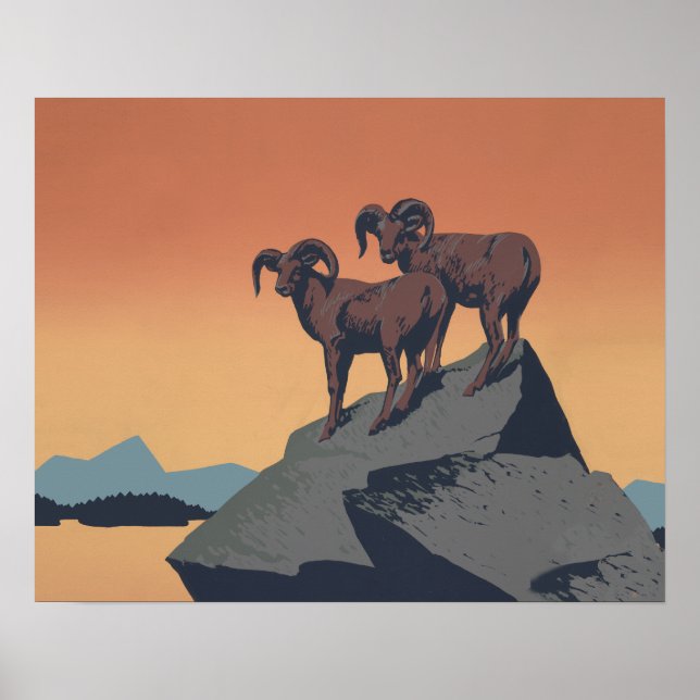 Poster Bighorn Sheep American West Wildlife (Devant)