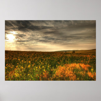 Poster Bill's Flower Field