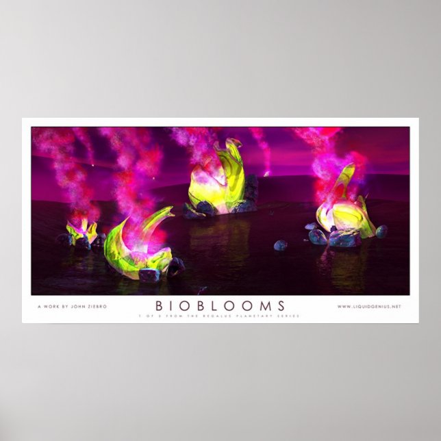 Poster Bioblooms (Devant)