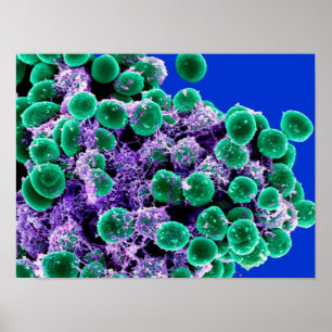 Poster biologie microbiologie toile d'affiche d'art abstr
