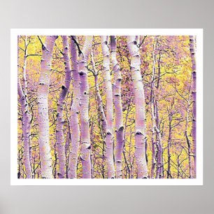 Poster Birch d'automne
