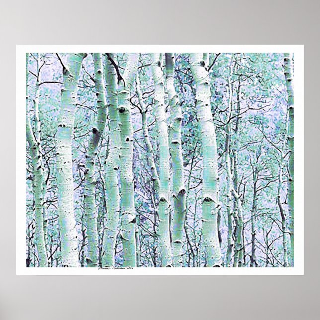 Poster Birch d'hiver (Devant)