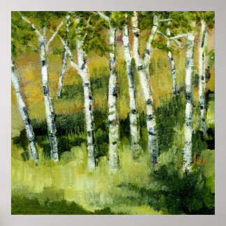 Poster Birch Trees