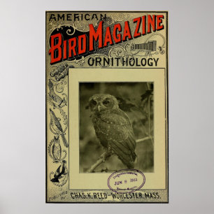 Poster Bird Magazine 8 juin 1903