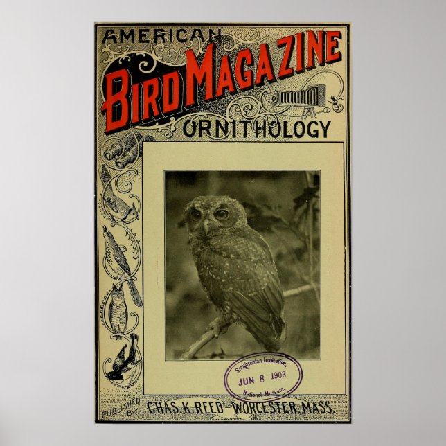 Poster Bird Magazine 8 juin 1903 (Devant)