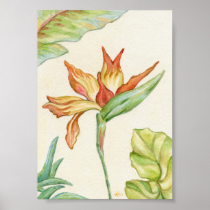 Poster Bird of Paradise Art Print 5x7