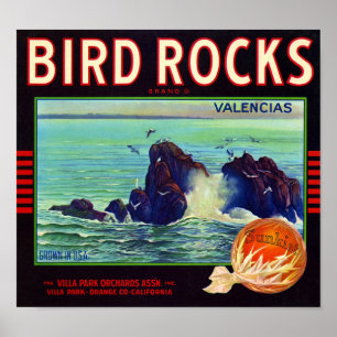 Poster Bird Rocks Marque Orange Fruit Crate Étiquette