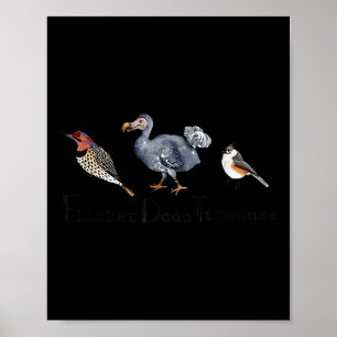 Poster Bird Subtle Flicker Dodo Titmouse