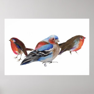 Poster Birds of a Feather 2011