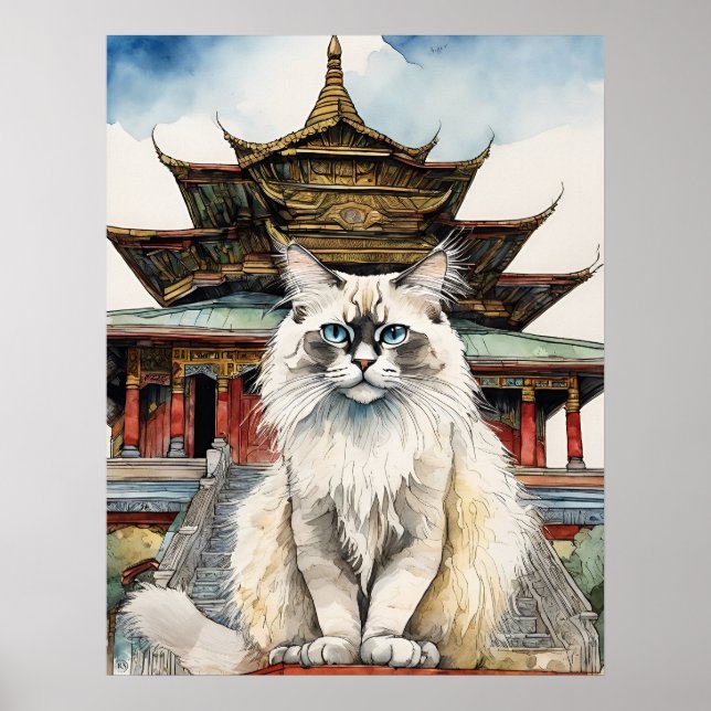 Poster Birman Chat - Art Chat Imprimer (Devant)