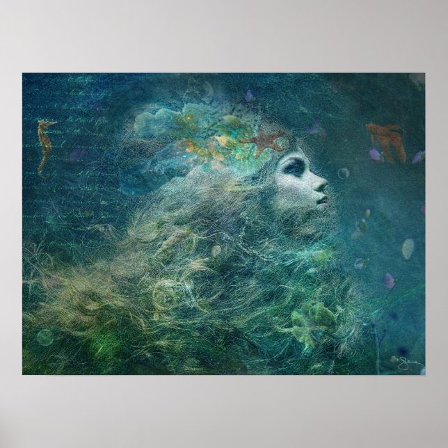 Poster Biscuit marin (Devant)