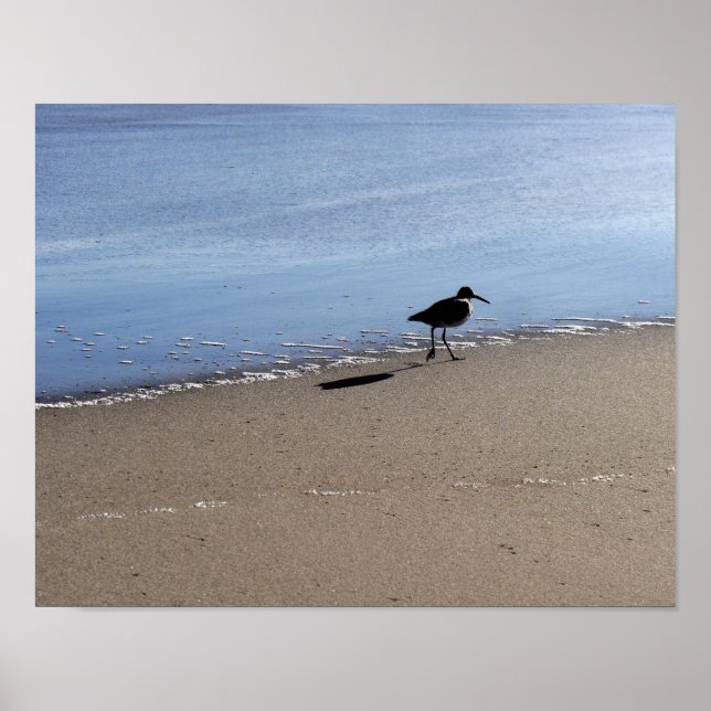 Poster Biseau de mer sur la plage (Devant)