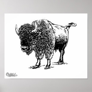 Poster Bison