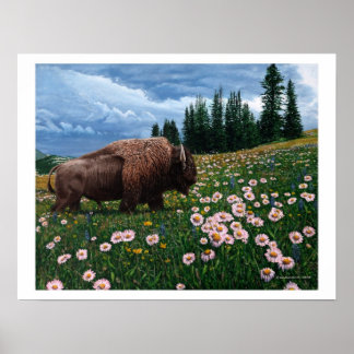 Poster Bison Américain - "Pas Le Temps Pour Les Fleurs"