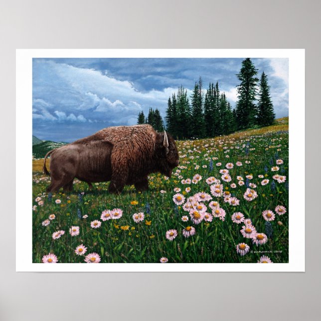 Poster Bison Américain - "Pas Le Temps Pour Les Fleurs" (Devant)