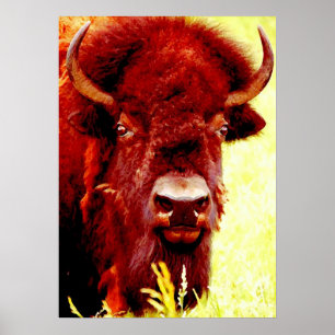 Poster Bison Buffalo Head American Arwork