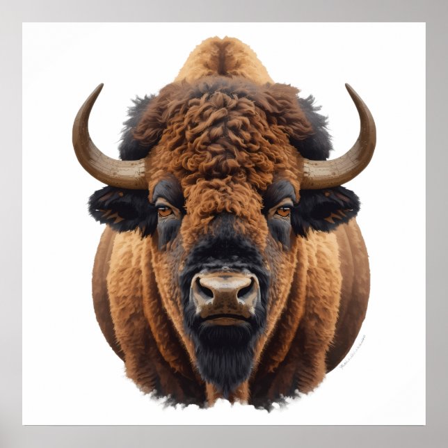 Poster Bison / Buffle (Devant)