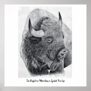 Poster Bison d'Amérique