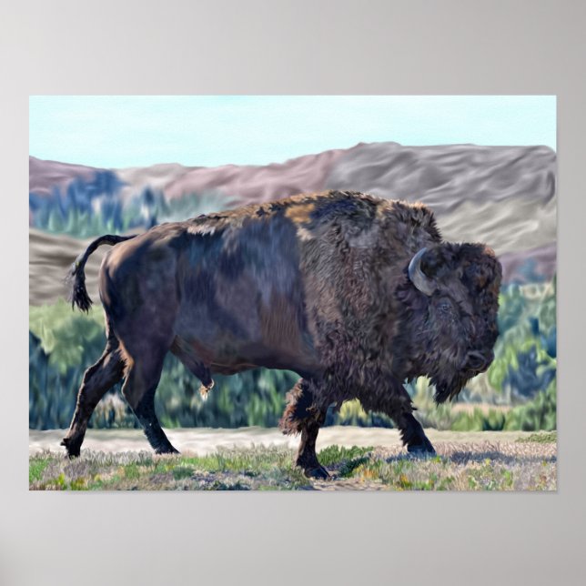 Poster Bison de Buffalo américain (Devant)