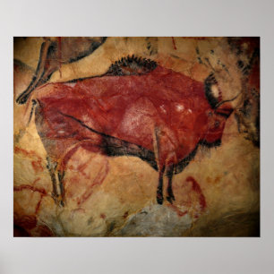 Poster Bison femelle chez Altamira