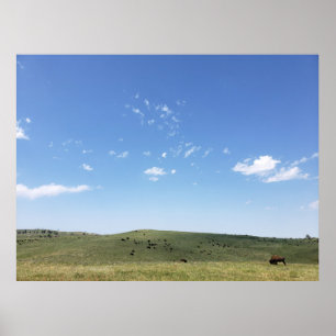 Poster Bison Herd, Parc d'état de Custer, Dakota du Sud