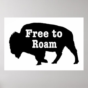 Poster Bison libre de Roam