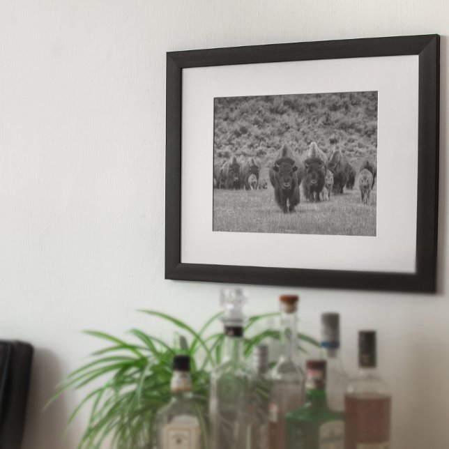 Poster Bison noir blanc Cabine Agritourisme Style moderne (Créateur téléchargé)