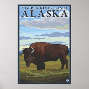 Poster Bison Scene - Bassin de Copper River, Alaska
