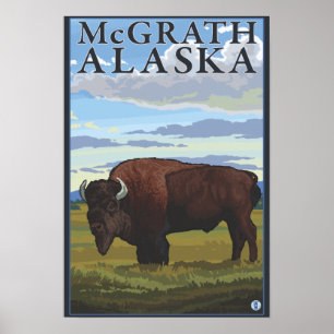 Poster Bison Scene - McGrath, Alaska