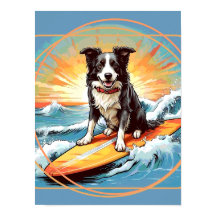 Black and White Border Collie Surfing