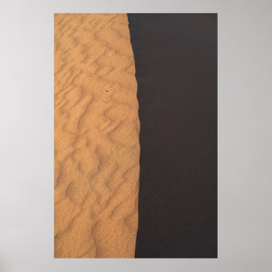 Poster Black and white floral textile