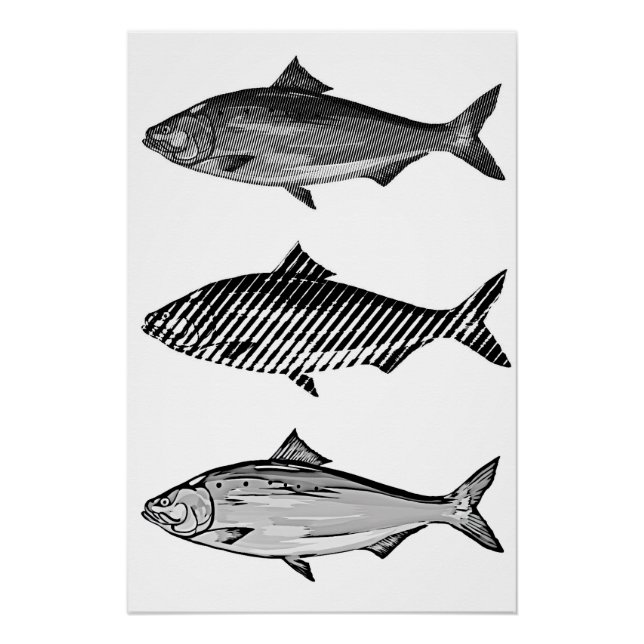 Poster Black and white graphic fish (Devant)