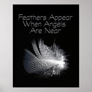 Poster Black and White Striped Feather Floating on a Pond
