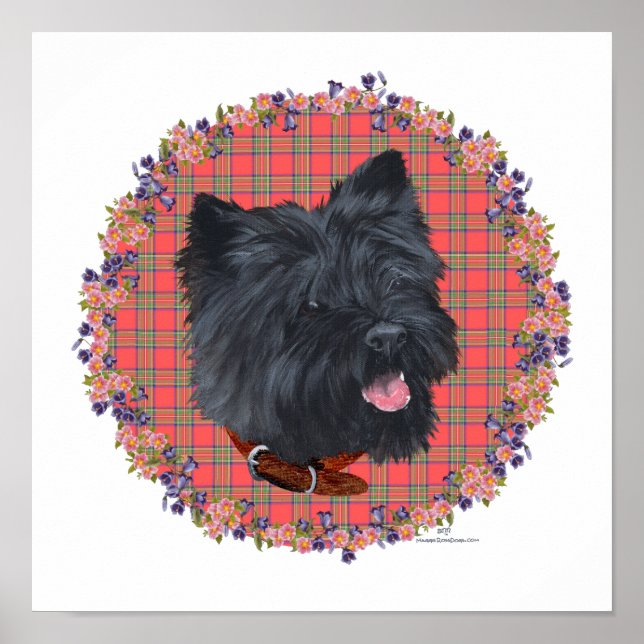 Poster Black Cairn Head Study (Devant)