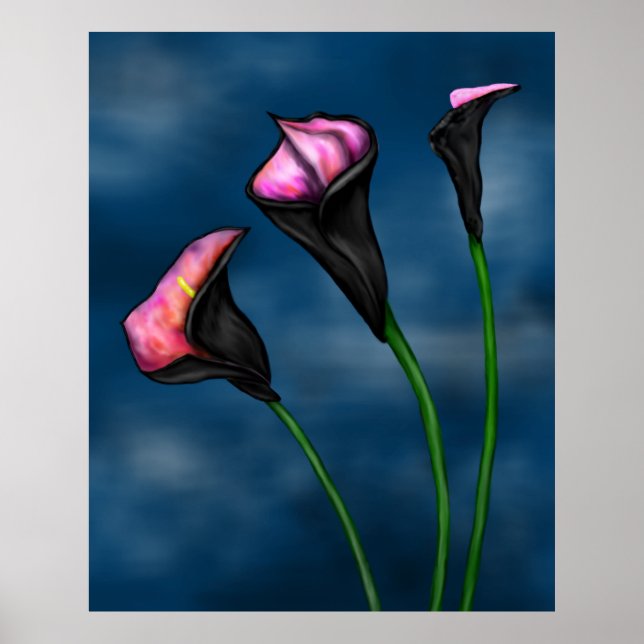 Poster Black Calla Lilies Pink Centre (Devant)