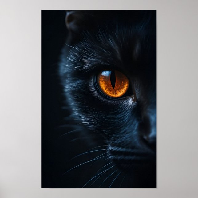 Poster Black Cat  with Amber Eye (Devant)