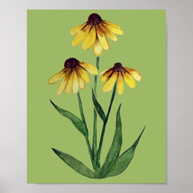 Poster Black Eyed Susan Aquarelle Daisy Art marguerites m (Devant)