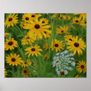 Poster Black Eyed Susan Daisy