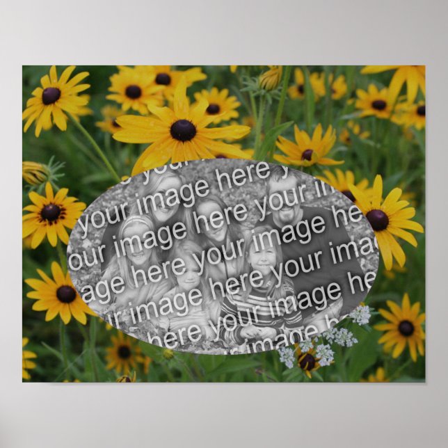 Poster Black Eyed Susan Daisy Ajouter votre cadre photo (Devant)