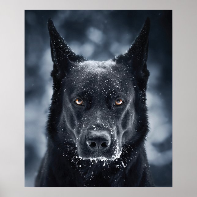 Poster Black German Shepherd (Devant)