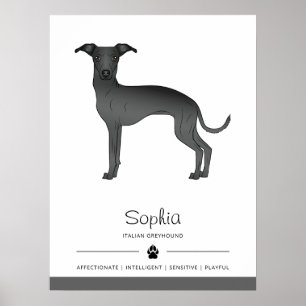 Poster Black Italien Greyhound mignon chien avec texte pe
