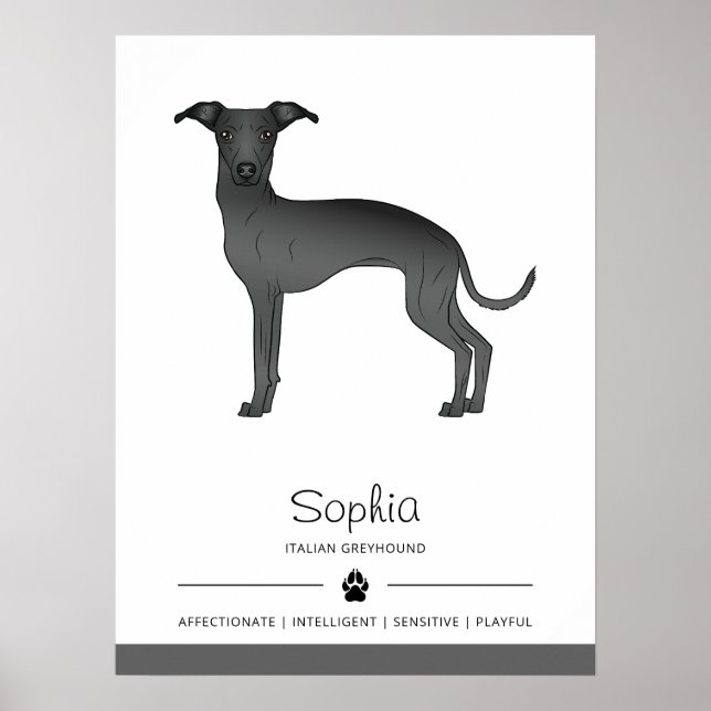 Poster Black Italien Greyhound mignon chien avec texte pe (Devant)