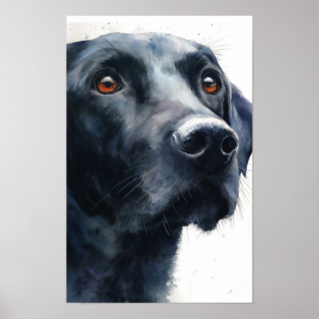 Poster Black labrador retriever watercolor (Devant)
